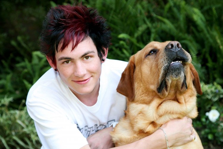 Pets