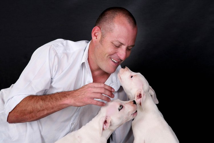 Pets