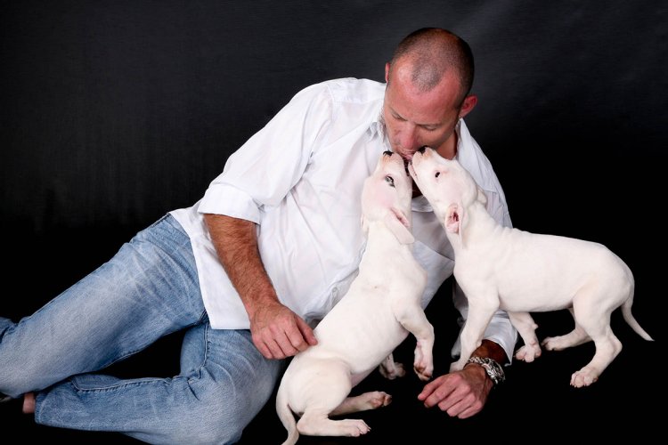 Pets